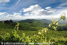 monferrato