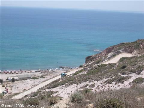 Camel beach