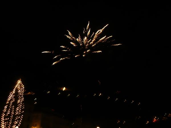 Golden fireworks explode in the night sky, illuminated tree below
