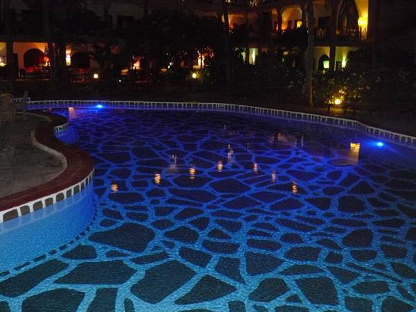 Pool of the Lili Palm