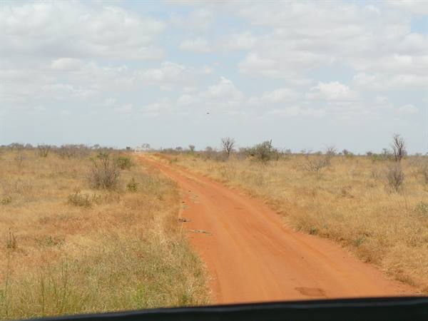 The African red earth
