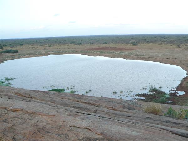 Waterhole surrounded by bush savanna, red rocks in the foreground