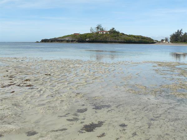 Watamu at low tide