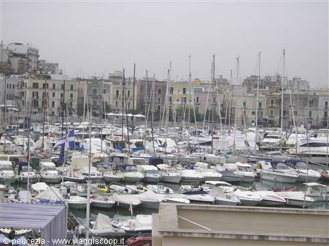 the marina