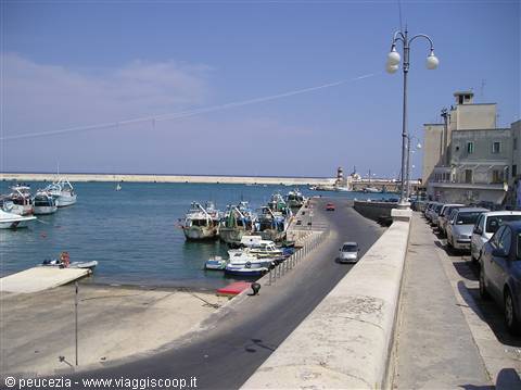 The port