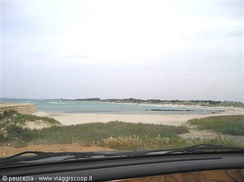 Punta Penna Grossa the sea