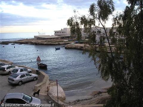 the little harbour and the sea in winter