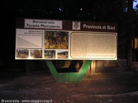 Mercadante forest: entrance