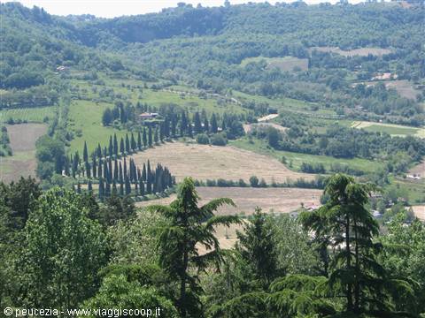 the countryside of Orvieto
