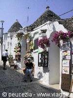 some typical shops