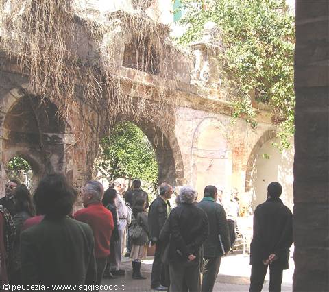 arches and climbing plants, a garden in the city