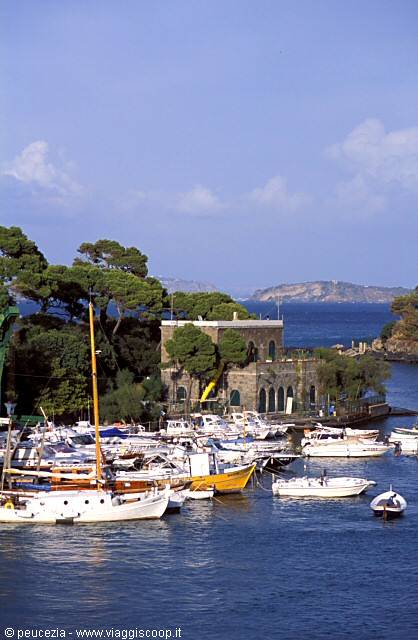 the marina of Ischia