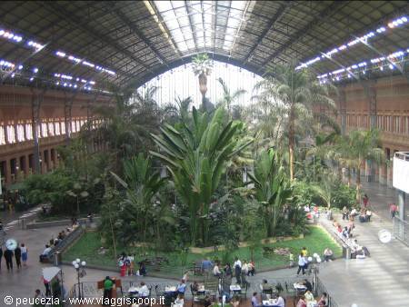 inside Atocha station
