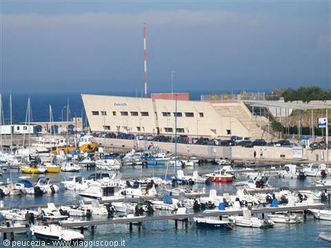 the harbour