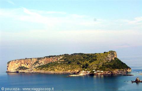 the island of Dino