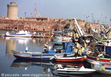 port of Livorno