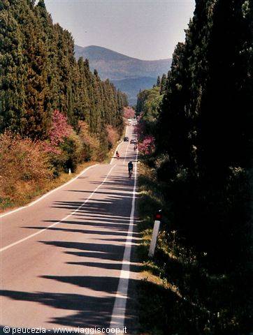 along the road