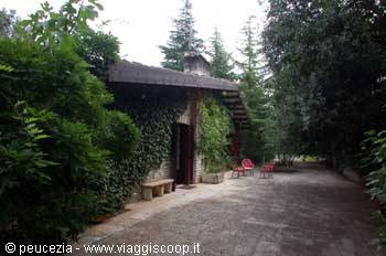 the Fasano woods
