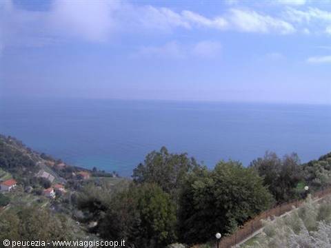 view of the Riviera
