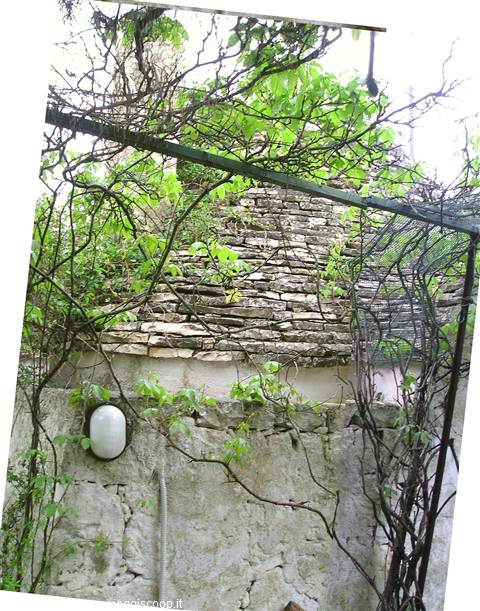 another trullo in the wild