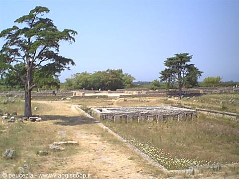 the archaeological site