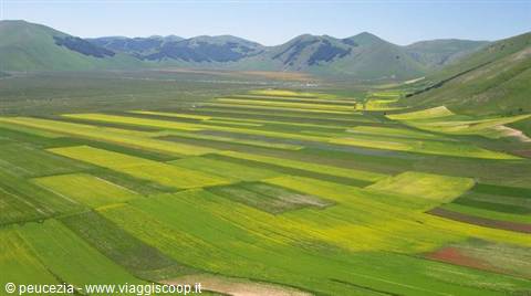 the plain of Castelluccio