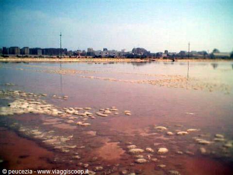 the salt pan basins