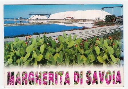 souvenir postcard