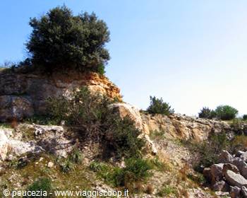 nature outside the town