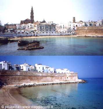 panoramic collage