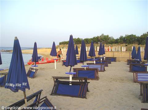 beach again