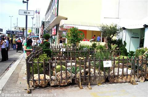 a small advertising garden