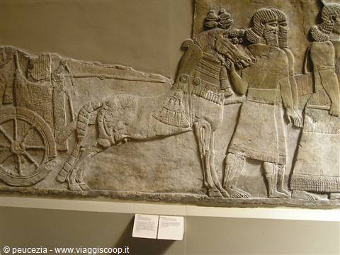 assyrian art again