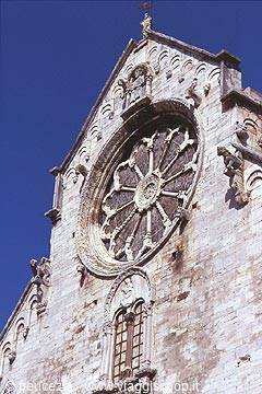 the rose window of the cathedral