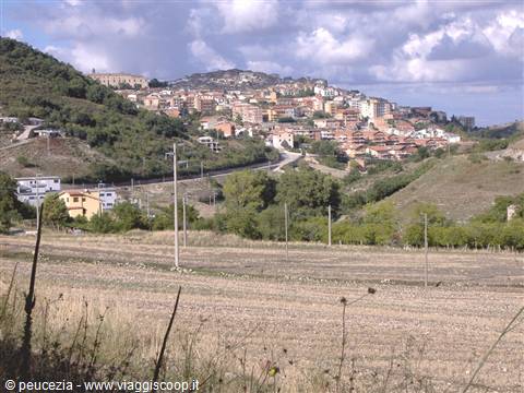 panorama from above