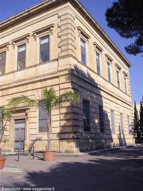 Limestone building with rusticated corner, potted palm and tree shadows