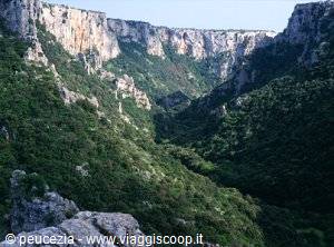 Limestone gorge with rocky cliffs and Mediterranean shrubs, Vikos