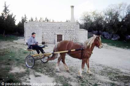 Man on horse-drawn cart in front of a stone trullo