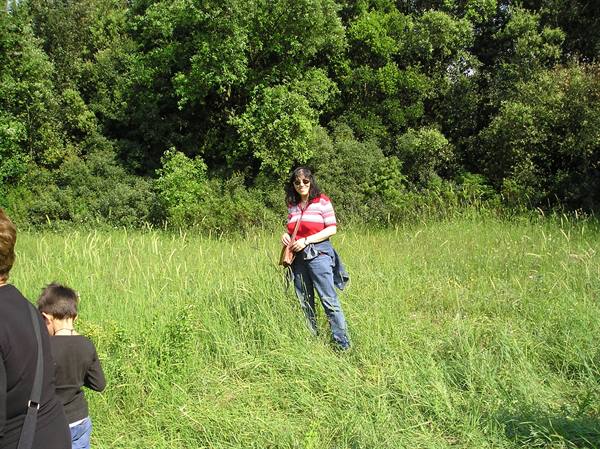 Woman in red striped shirt standing in tall grass before green woodland