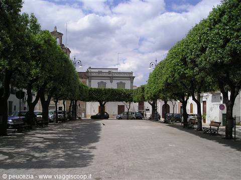 Tree-lined square with benches, parked cars, white building and bell tower among foliage