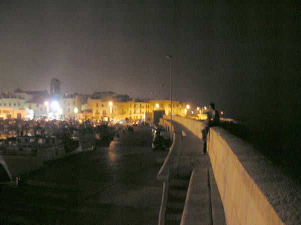 Person sitting on the harbor wall at night, boats and village lights