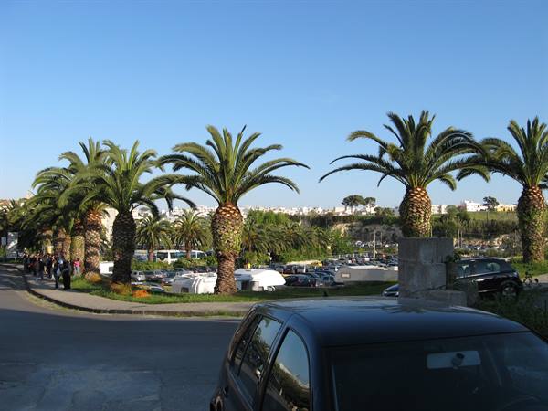 Palm trees lining the road, pedestrians walking, parked cars and white buildings beyond