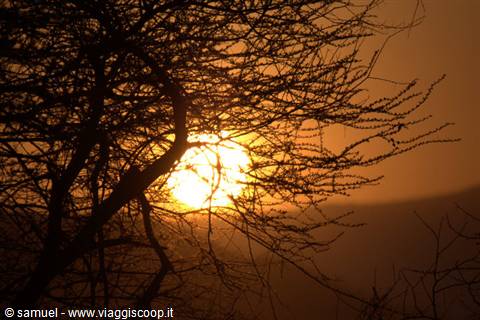 dawn tsavo east