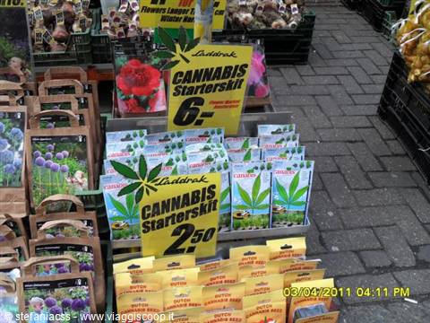 drugs for sale