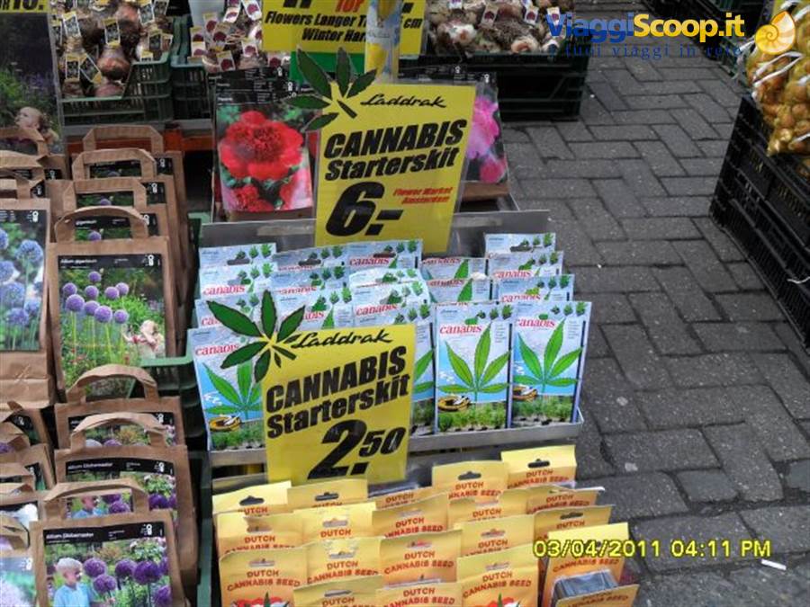 drugs for sale