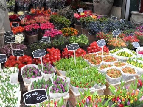flower market