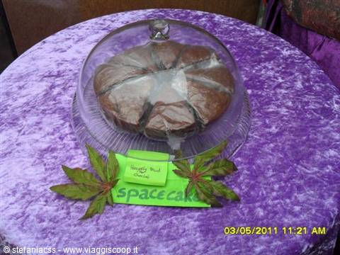cake with looots of spice