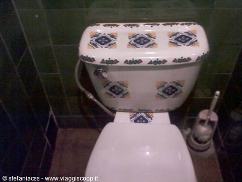 luxury toilet
