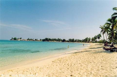 Pale sand beach with palm trees and swimmers in turquoise water