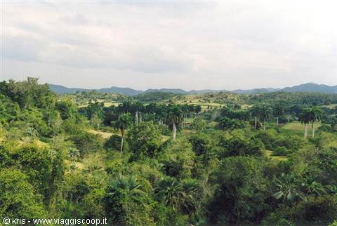Green hills covered with palms and tropical vegetation under a cloudy sky
